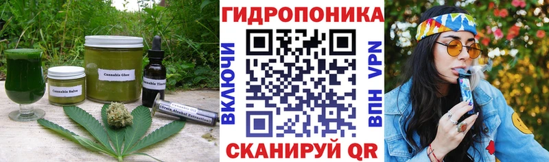 Cannafood конопля  Купить где  Хадыженск 